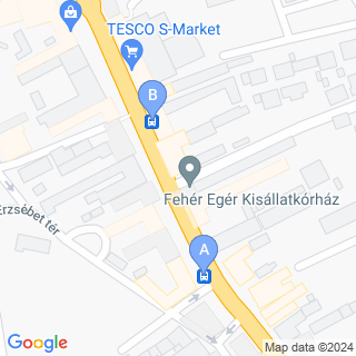 T�rk�p a meg�ll�helyr�l